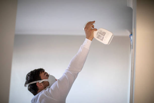Best Best Mold Removal Companies  in Hewitt, NJ