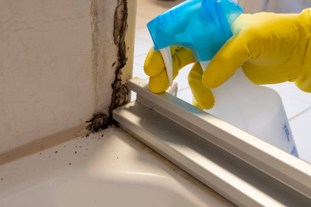 Best Commercial Mold Removal  in Hewitt, NJ