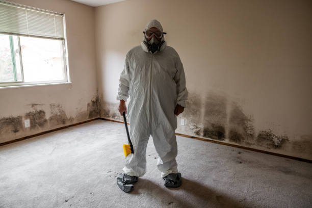 Best Fast Mold Removal  in Hewitt, NJ